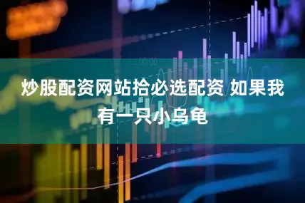 炒股配资网站拾必选配资 　　如果我有一只小乌龟