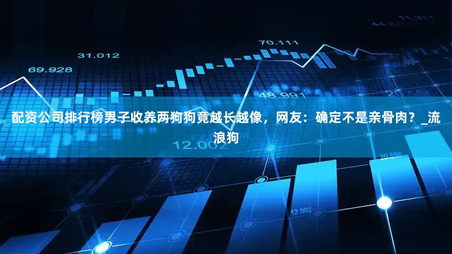 配资公司排行榜男子收养两狗狗竟越长越像，网友：确定不是亲骨肉？_流浪狗